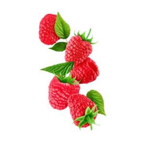 Raspberry